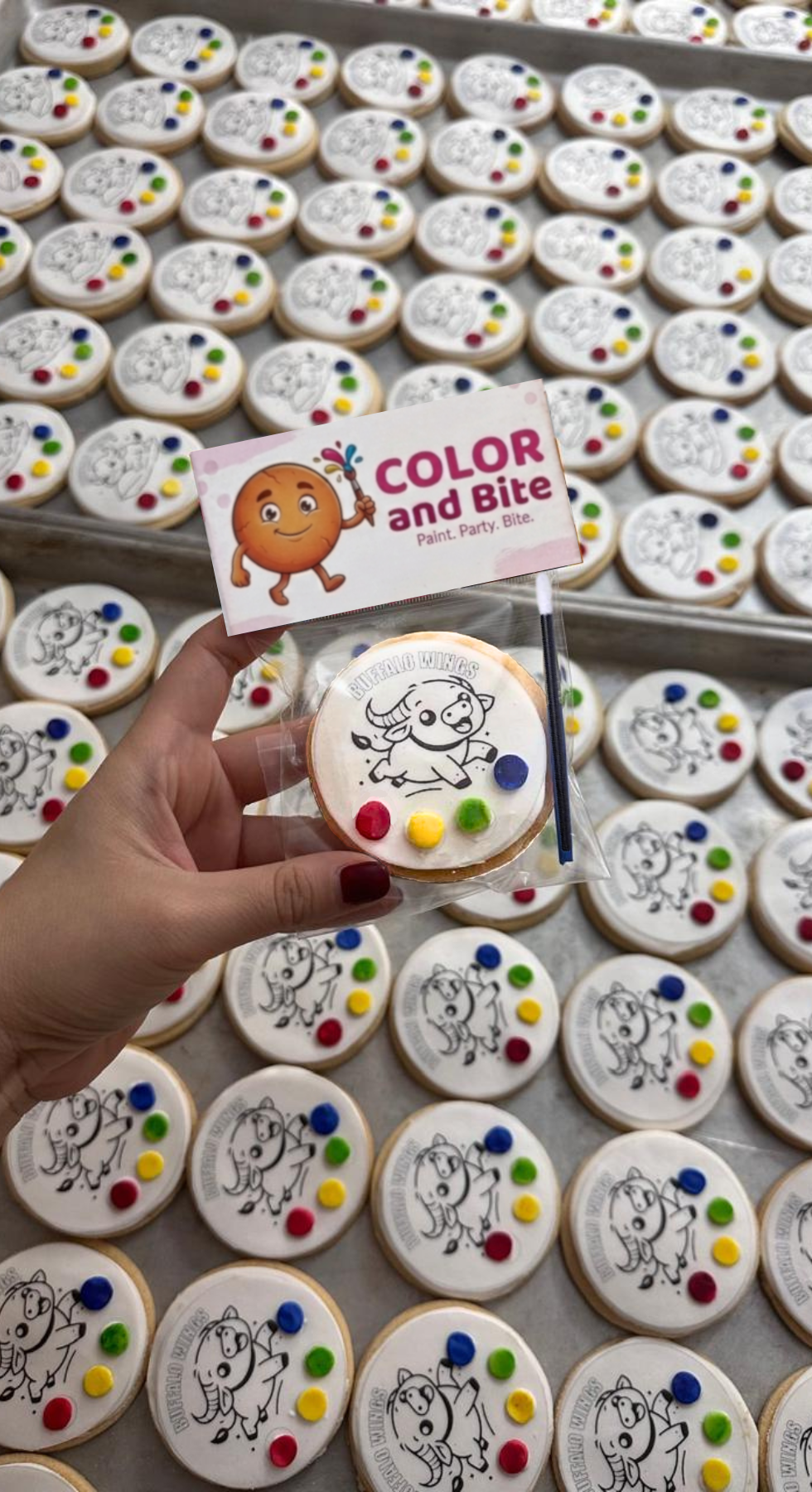 Dinosaur Paint Your Own Cookie Kit