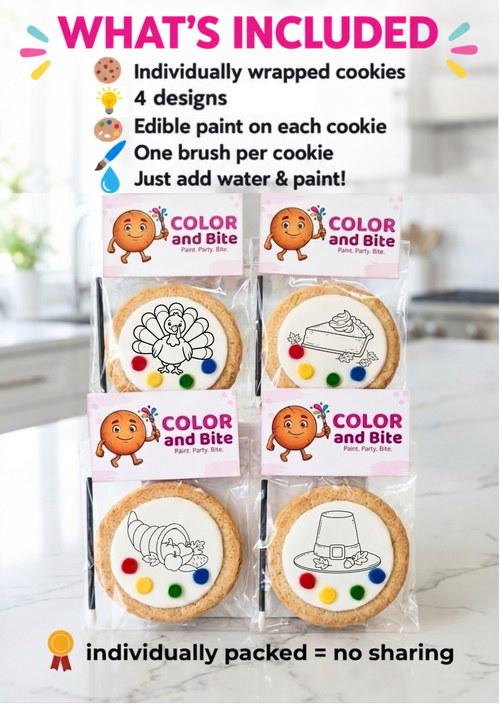Christmas Paint Your Own Cookie Kit